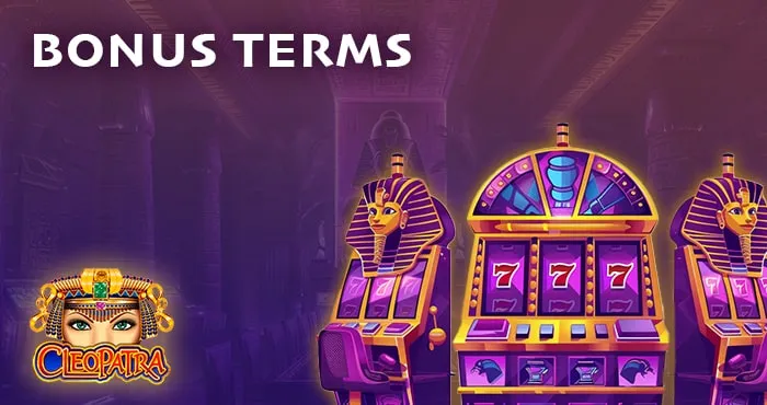 Bonus Terms